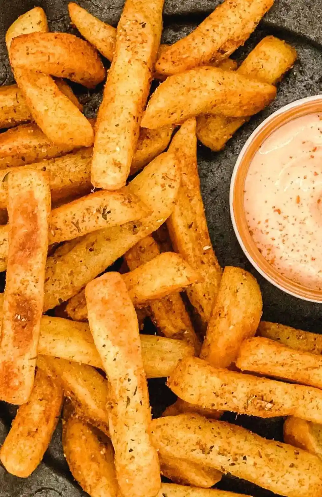 Masala Fries With Dip DF